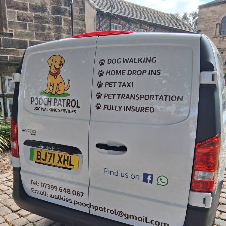 Pet taxi service in Barnsley