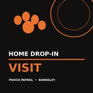 Home Drop-In Visit