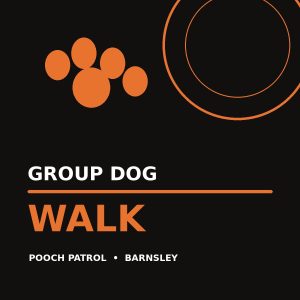 Group Dog Walk