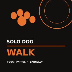 Solo Dog Walk